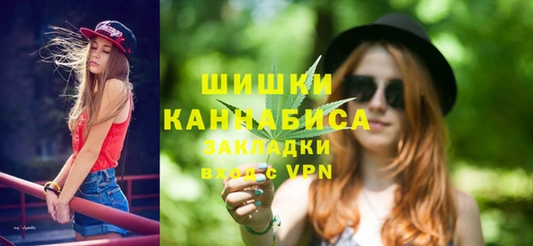 гидра Белоозёрский