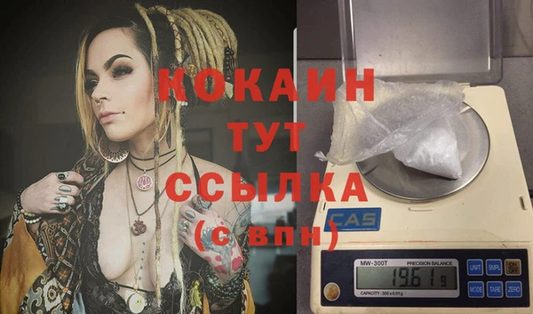 гидра Белоозёрский