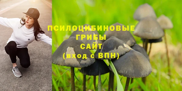 мяу мяу мука Беломорск