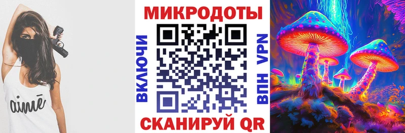 Купить закладки  Шатура  Псилоцибиновые грибы Magic Shrooms 